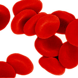 Liquid Handling Clinical Applications-QASAR Blood Grouping